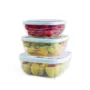 ELEGANT SQUARE FOOD SAVERS ( Set of Three) (1,1 L + 1,6 L + 2,4 L)