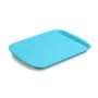 FROSTED SERVICE TRAY (35,5 X 26,8 X 21 CM)