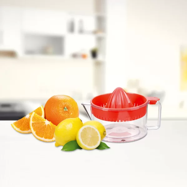 FRUIT JUICER (13 X 11 CM) 0,60 LT