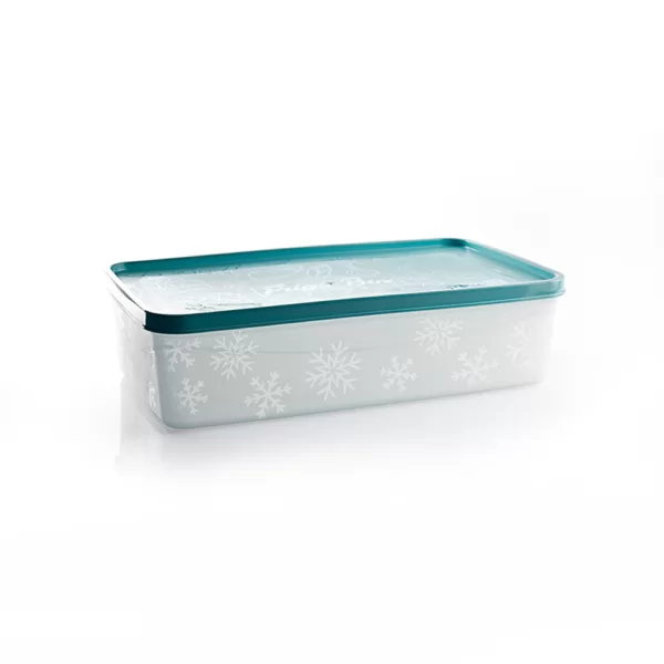 FRIGO FOOD BOX (26,5 x 15,5 x 7 CM) 2 L